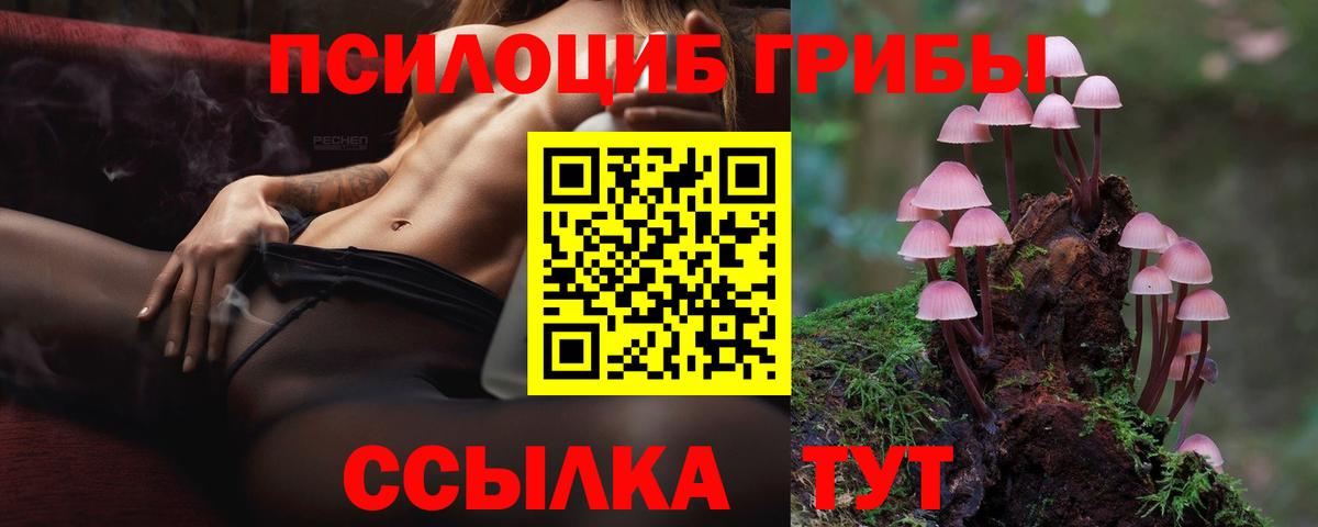 Лесной  Галлюциногенные грибы GOLDEN TEACHER  Вход с VPN 